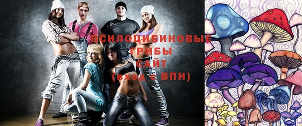 стафф Надым