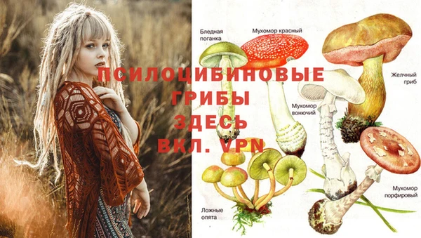 стафф Надым