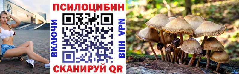 MEGA вход  Игарка  Галлюциногенные грибы мицелий  где купить наркоту 